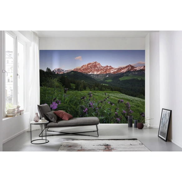 Vliestapete »Switzerland«, Breite 450 cm, seidenmatt