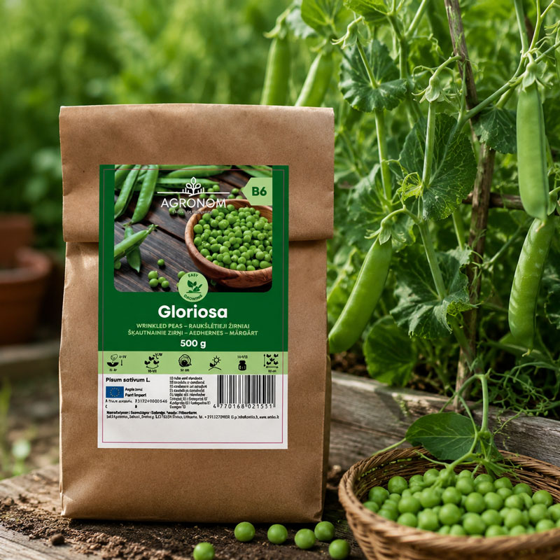 Märgärt 'Gloriosa', storpack 500 g