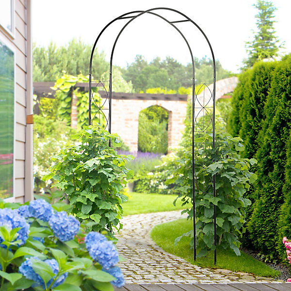 Arche de jardin arche à rosiers treillis métal époxy noir