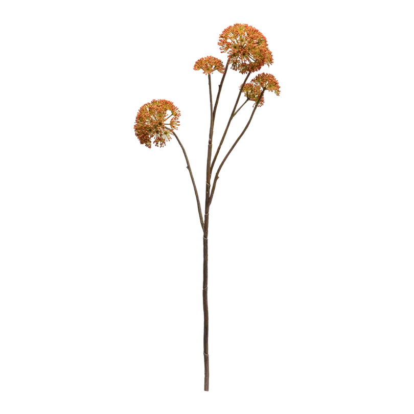 Dekozweig Dried-Grass