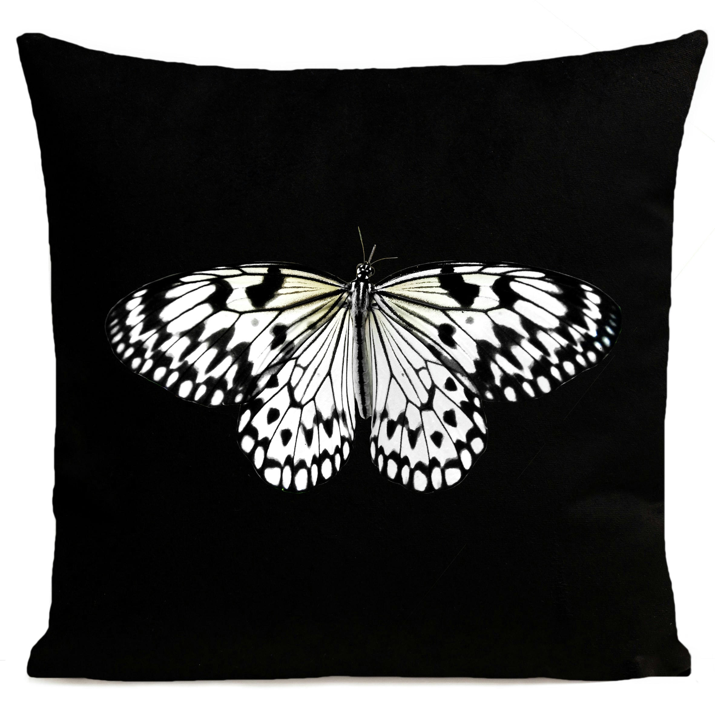- Coussin papillon insecte suédine noir 40x40cm