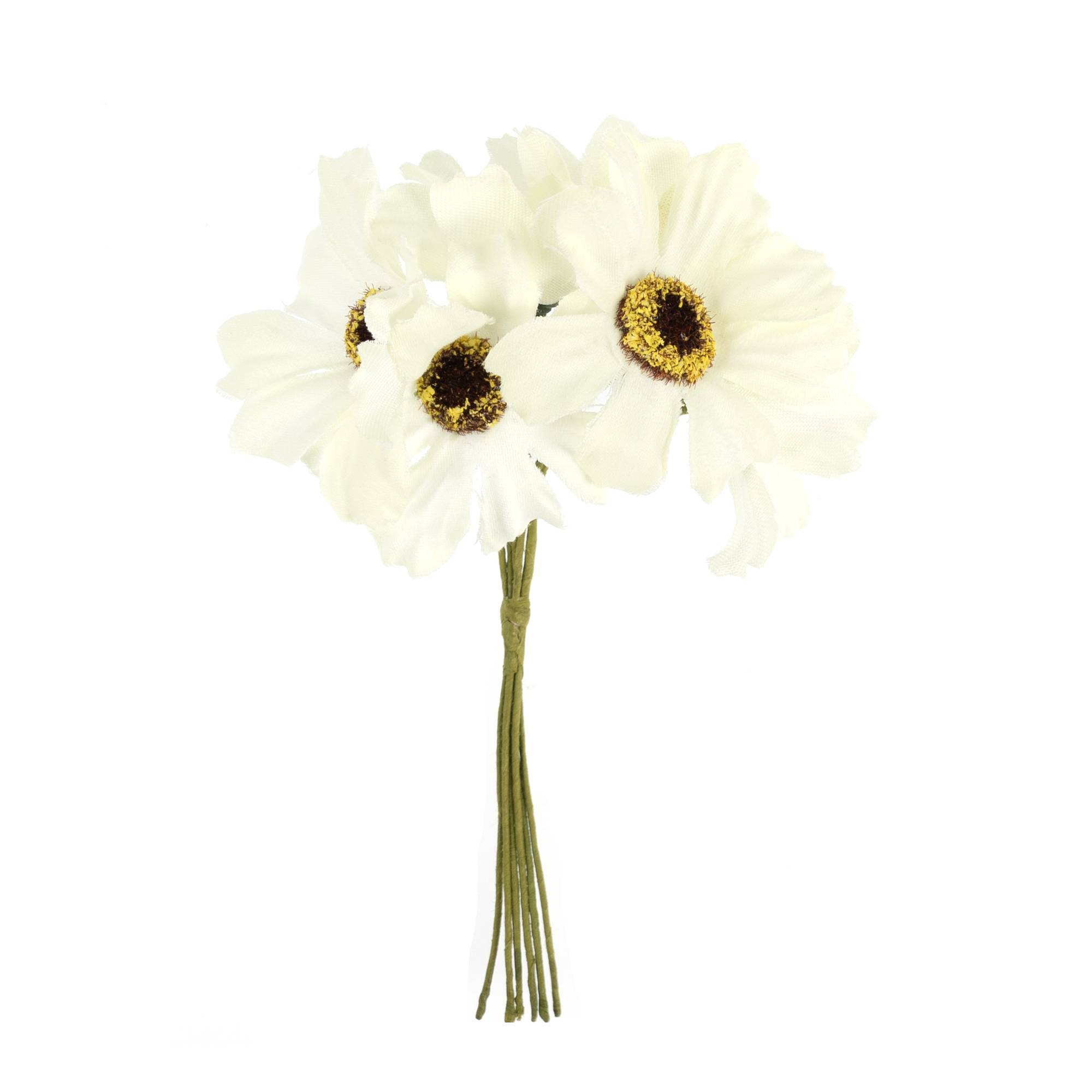 White Daisies 6 Pack