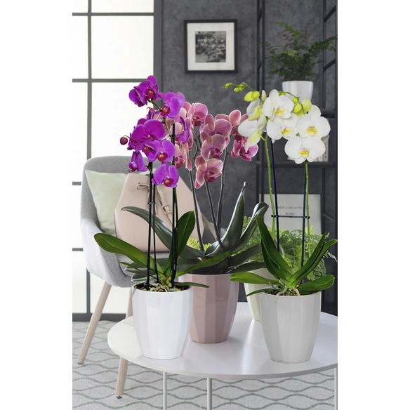 Pflanzgefäß »ELEGANCE«, Breite: 12,5 cm, grau, Keramik