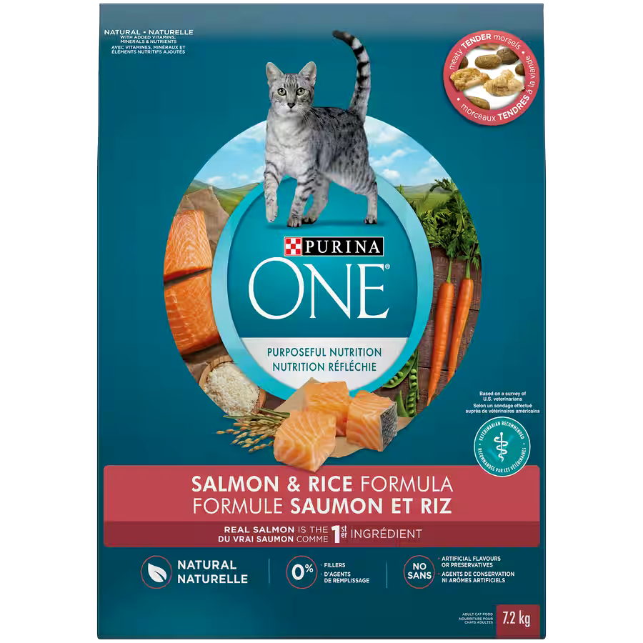 Purina ONE® Salmon & Rice Natural Adult Dry Cat Food, 7.2-kg