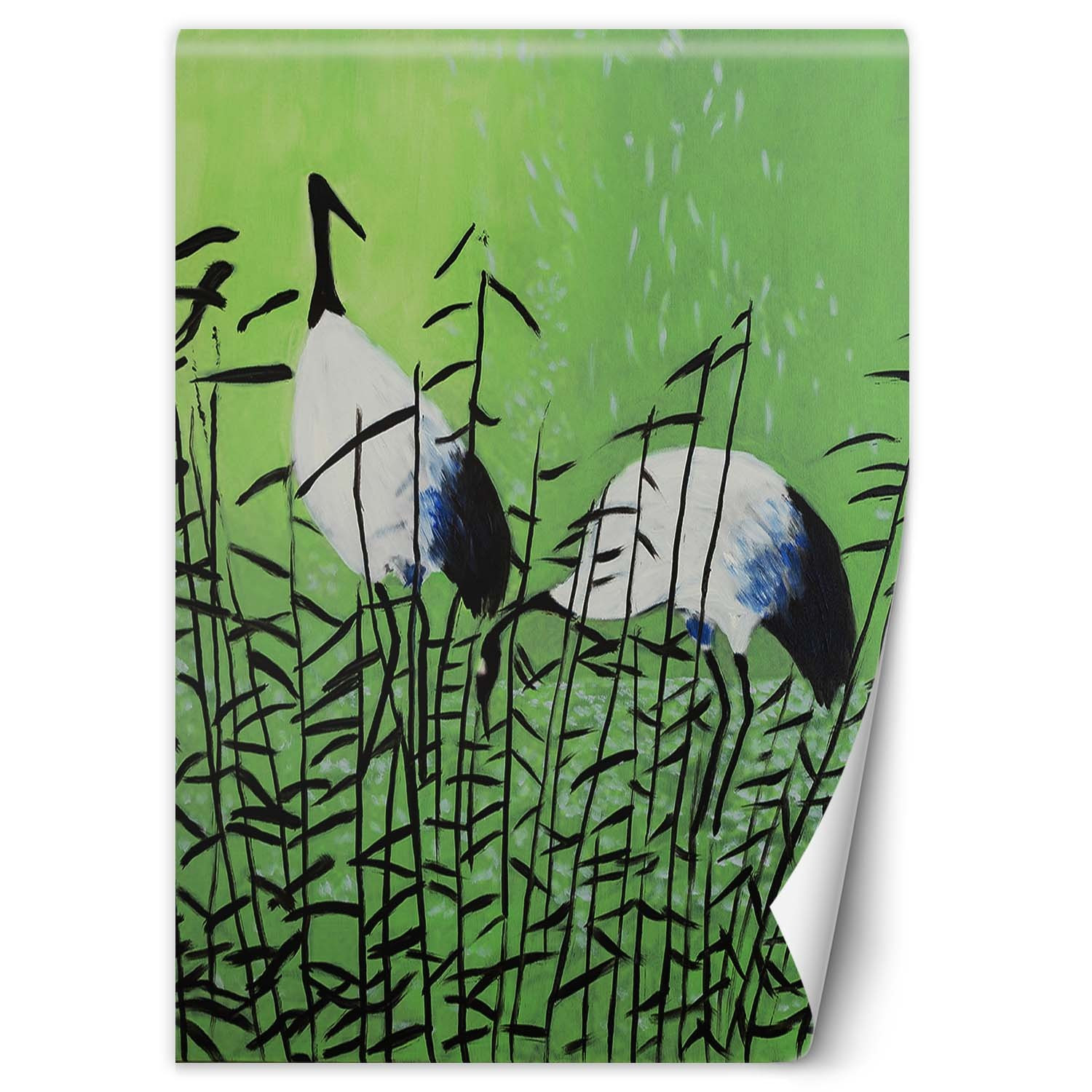 Feeby Fototapeta, Ptaki czaple malowane 100x140