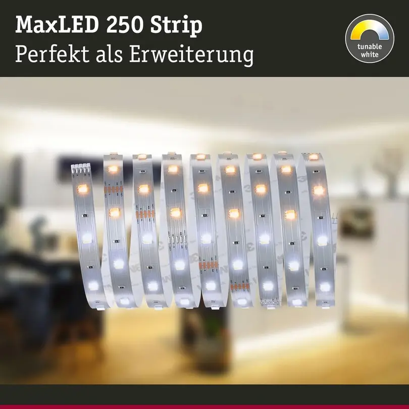 Lichtstreifen Paulmann