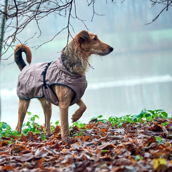 Hundemantel »Uppsala«, Hundemantel Uppsala 30, taupe