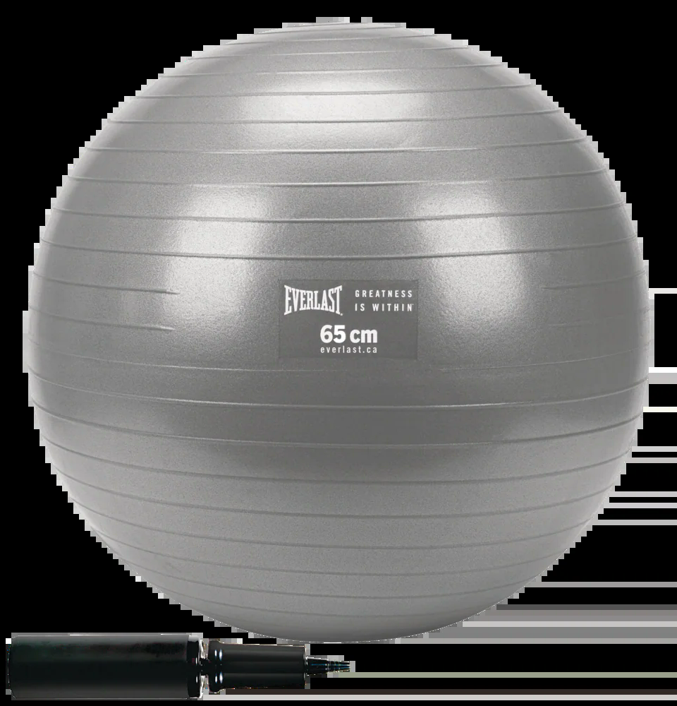 Everlast Exercise Ball