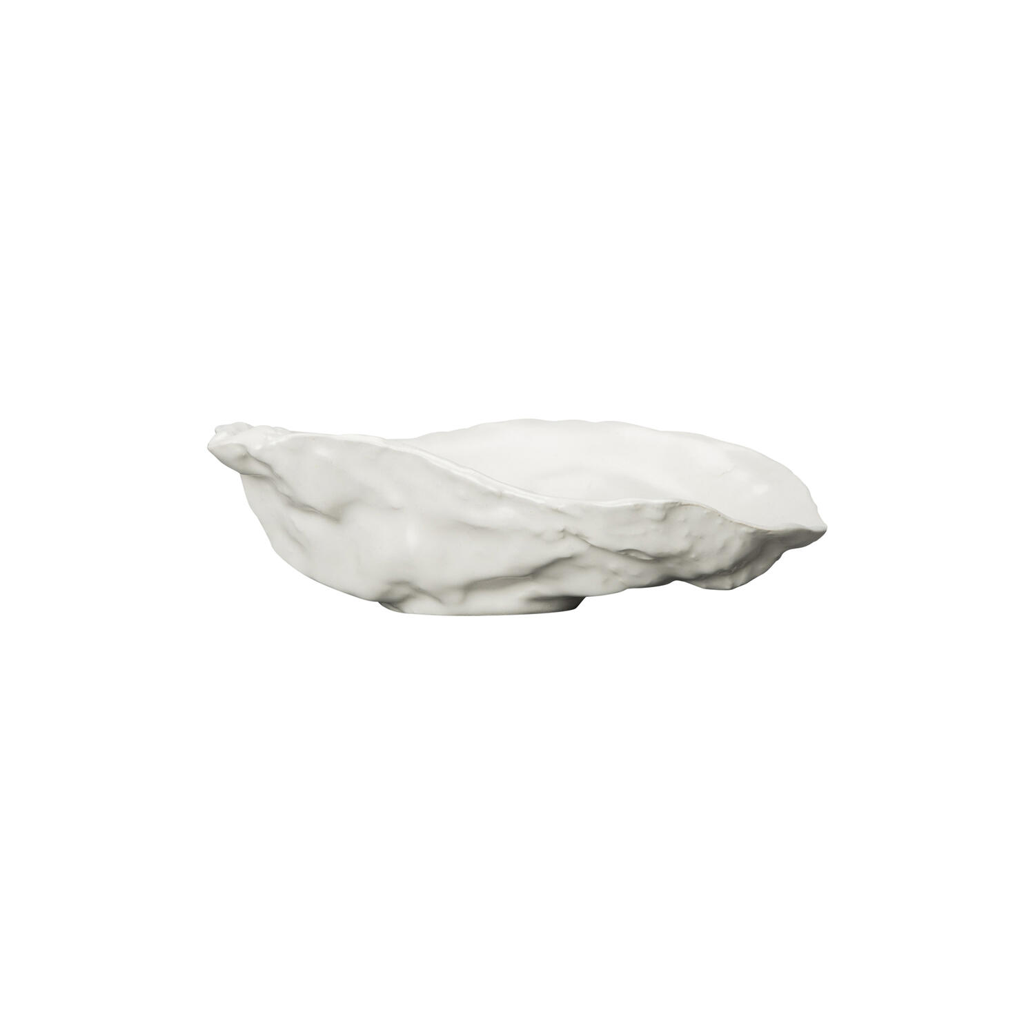 Oyster Plate