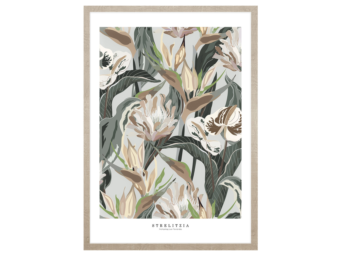 Obraz w ramie Retro Strelizia 53x73 cm