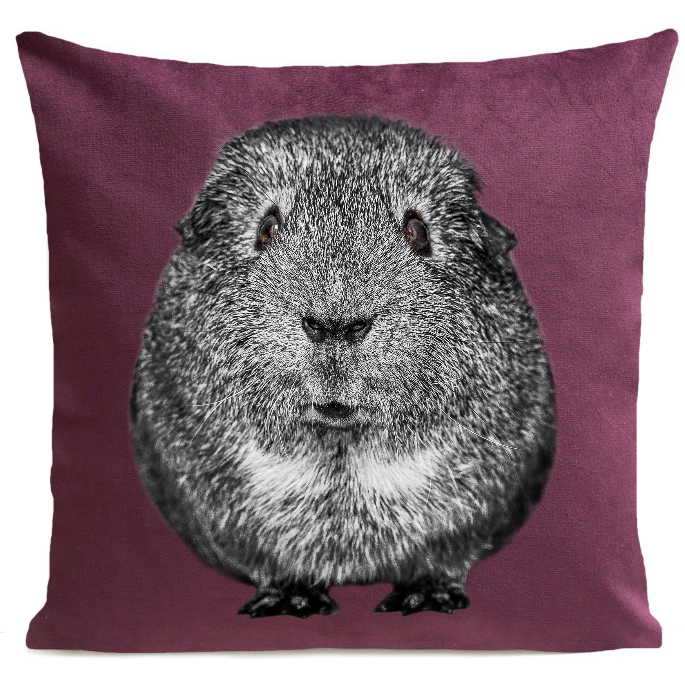 - Coussin enfant cochon d'inde violet 40x40cm