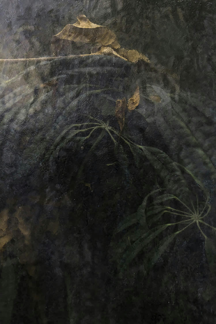 FIGÉE - Photographie d'art de Zoé Pignolet 60x90 cm sur alu