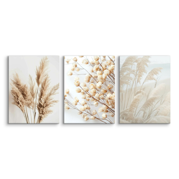 3x Obraz Set Trawa Pampasowa Rośliny W Stylu Boho 30x40cm