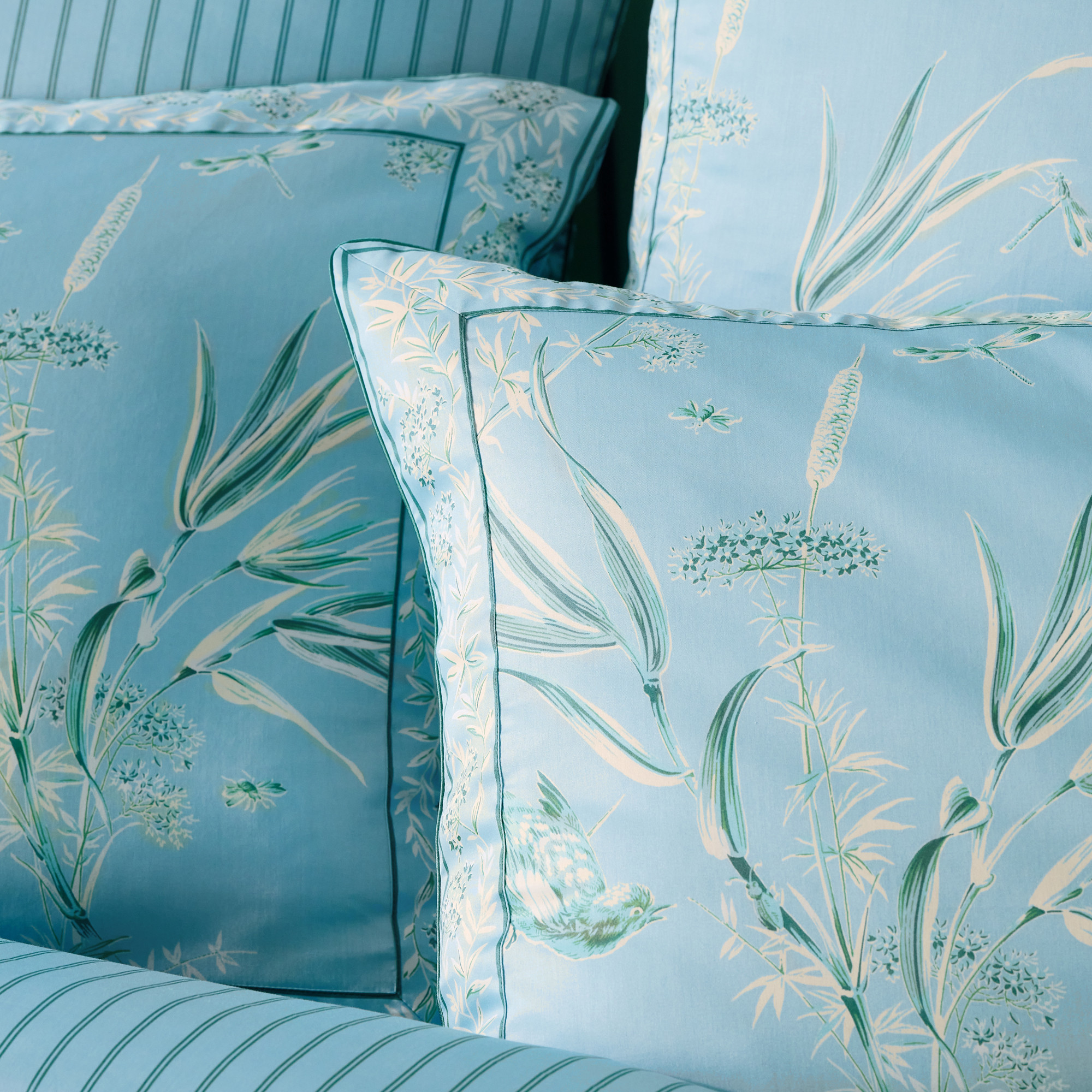 Taie de traversinSérénade à Luneville