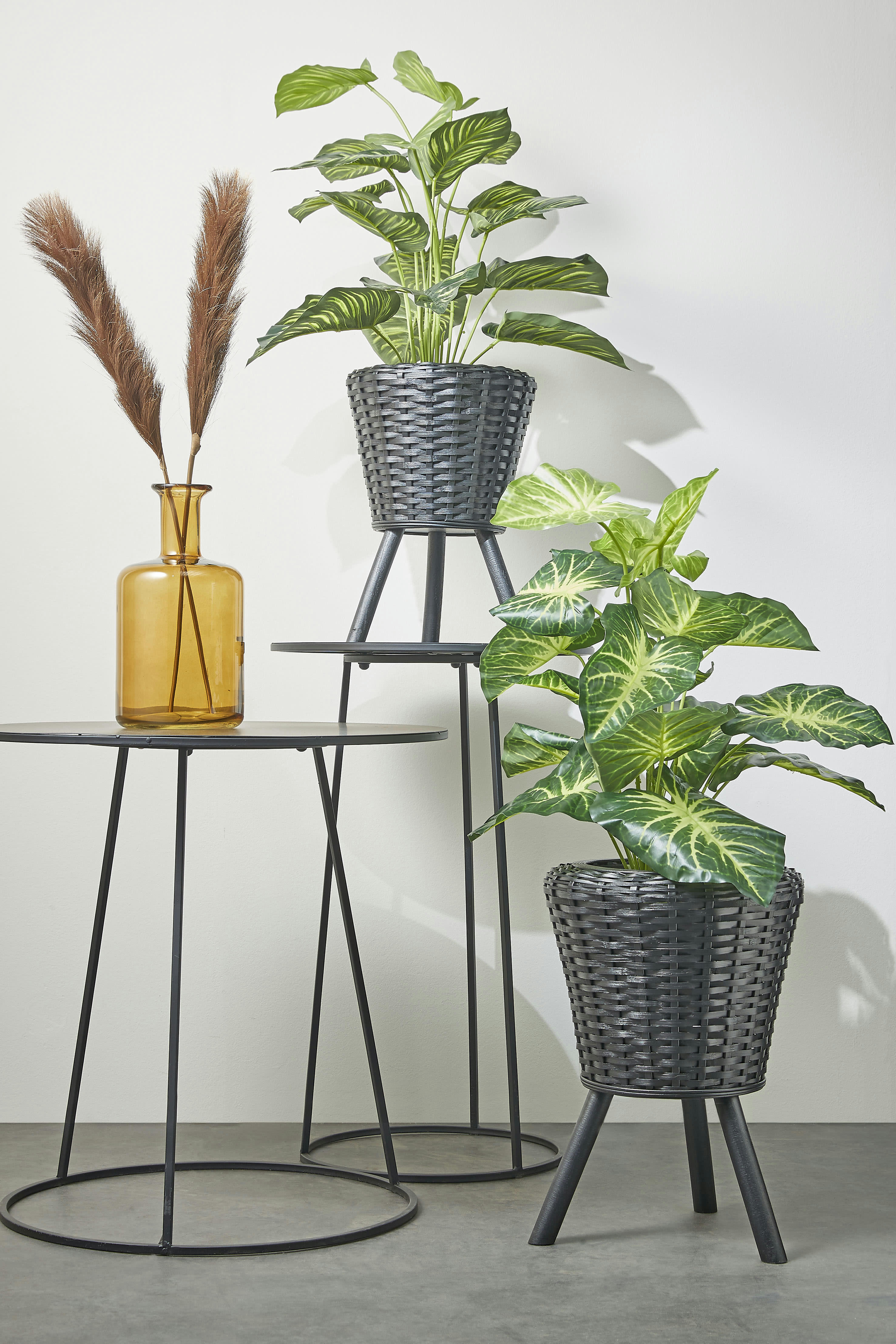 - Caladium artificielle vert en pot H100