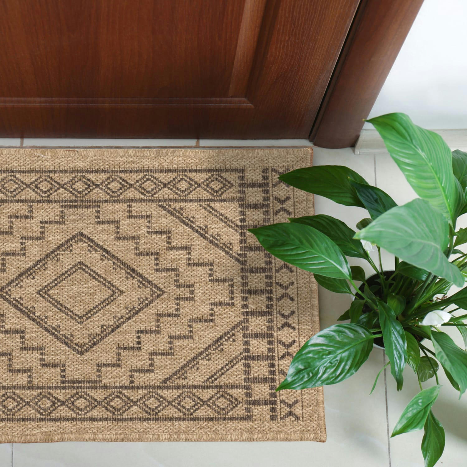 CASSI - Tapis intérieur et extérieur naturel 50x80cm