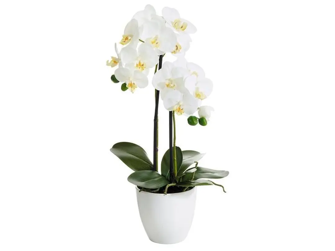 Kunstblume 4er-Set Botanic-Haus
