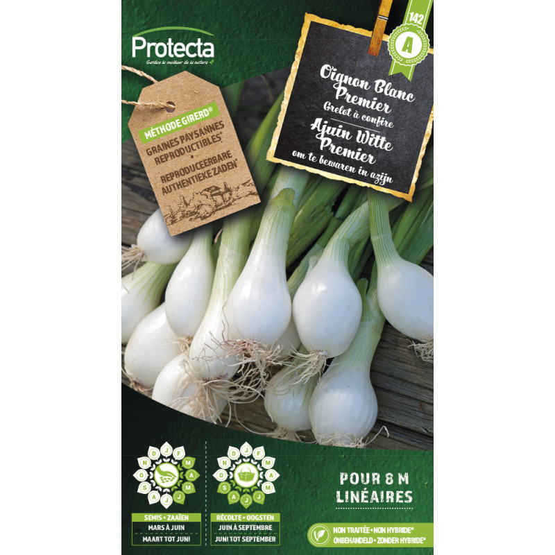 Semences d'oignon Blanc Premier PROTECTA