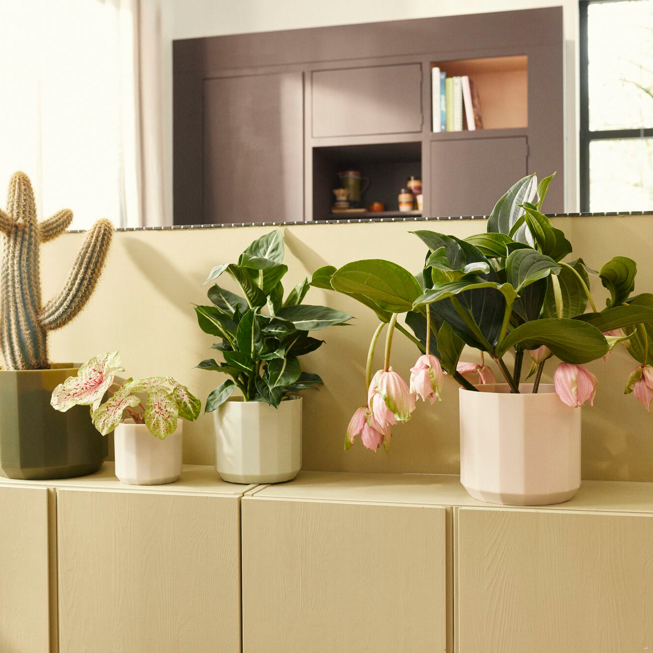 Elho Facet Rond - H 23 x Ø 20,6 cm - Binnen - 100% gerecycled kunststo