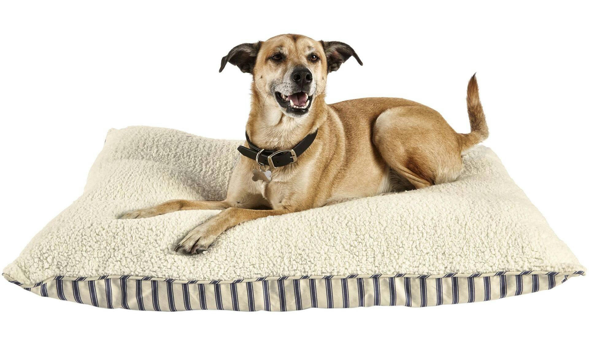 Petco Blue Striped Lounger Dog Bed, Washable, 40-in x 30-in, Beige/Blue