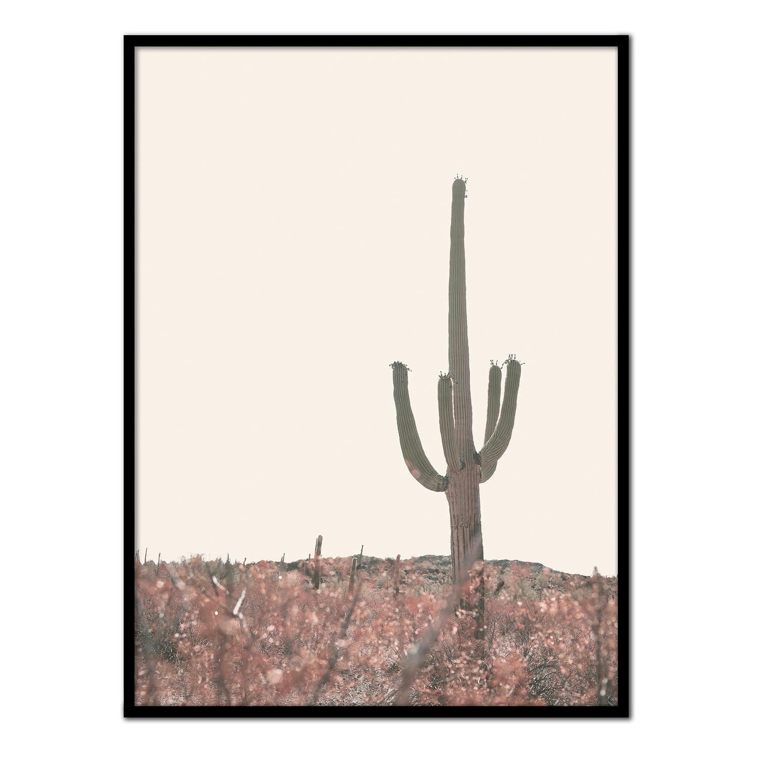 DESIERTO - Affiche avec cadre noir - Cactus dans le désert de l'Arizona - 50x70