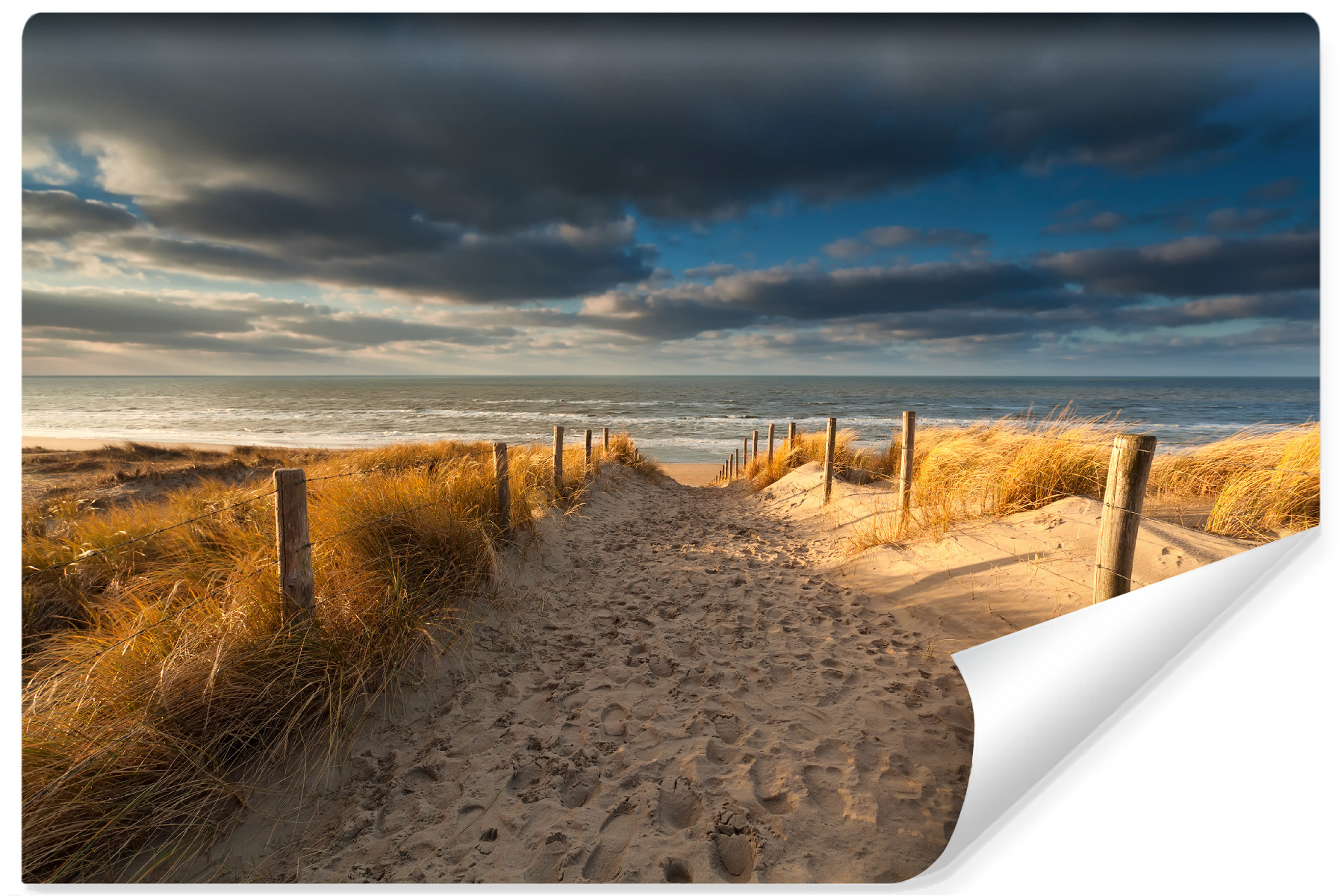 Fototapeta Plaża Nad Morzem Północnym 90x60cm