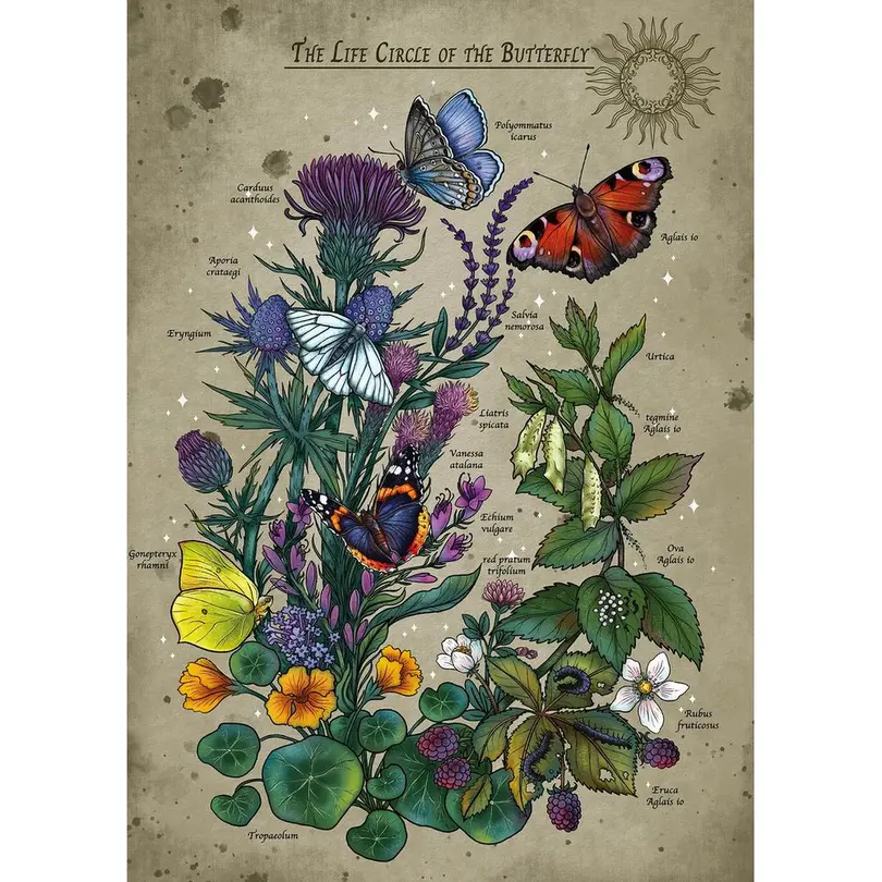 Puzzle 1000er-Set Lifecircle Butterfly