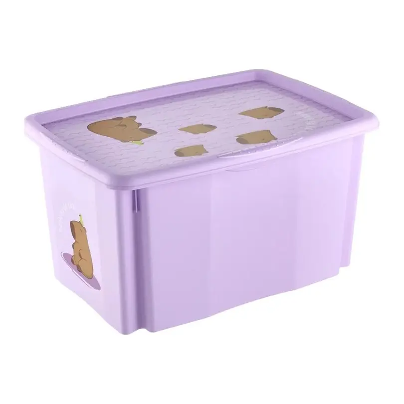 Aufbewahrungsbox Karolina