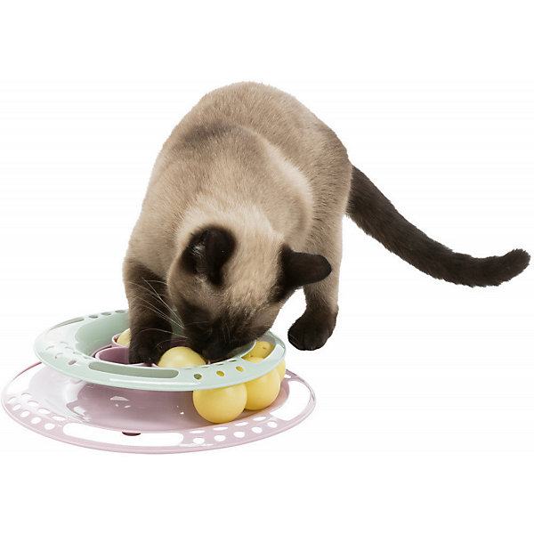 Jeux pour chat Junior Kitten Circle, taille D 24 cm