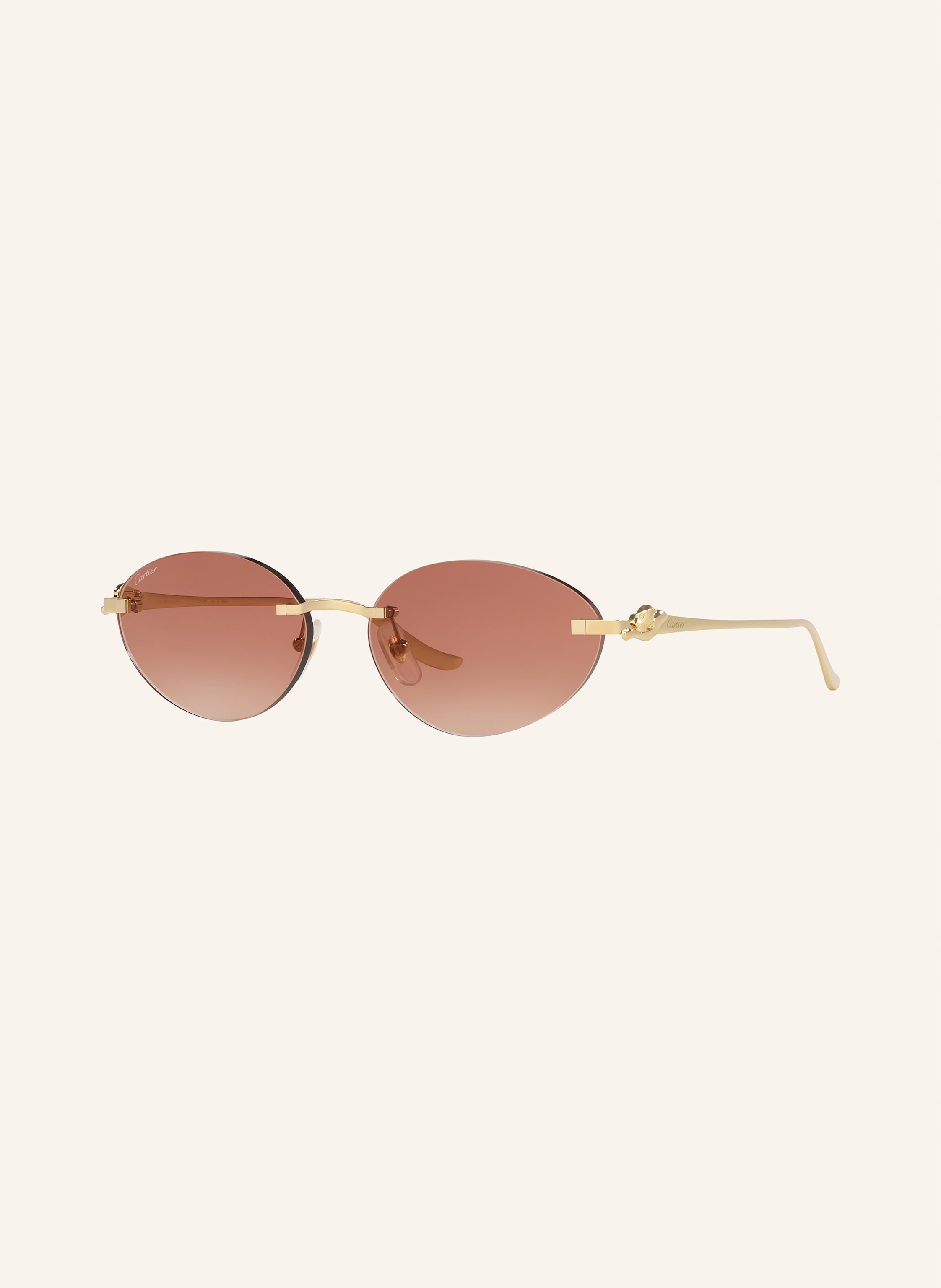 Cartier Sonnenbrille 6L001767