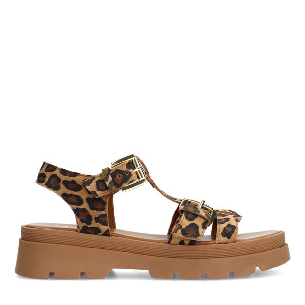 Leopard suède plateau sandalen met goudkleurige buckles