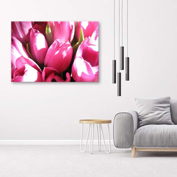Feeby Obraz na płótnie Bukiet różowych tulipanów 60x40