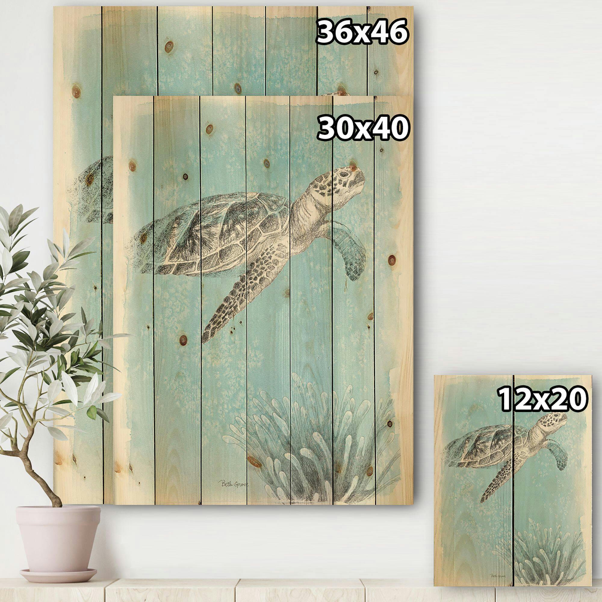Designart 'Coastal Sea Life I Turtle' Coastal Canvas Print Wall Art on Natural Pine Wood, 15-in x 20-in