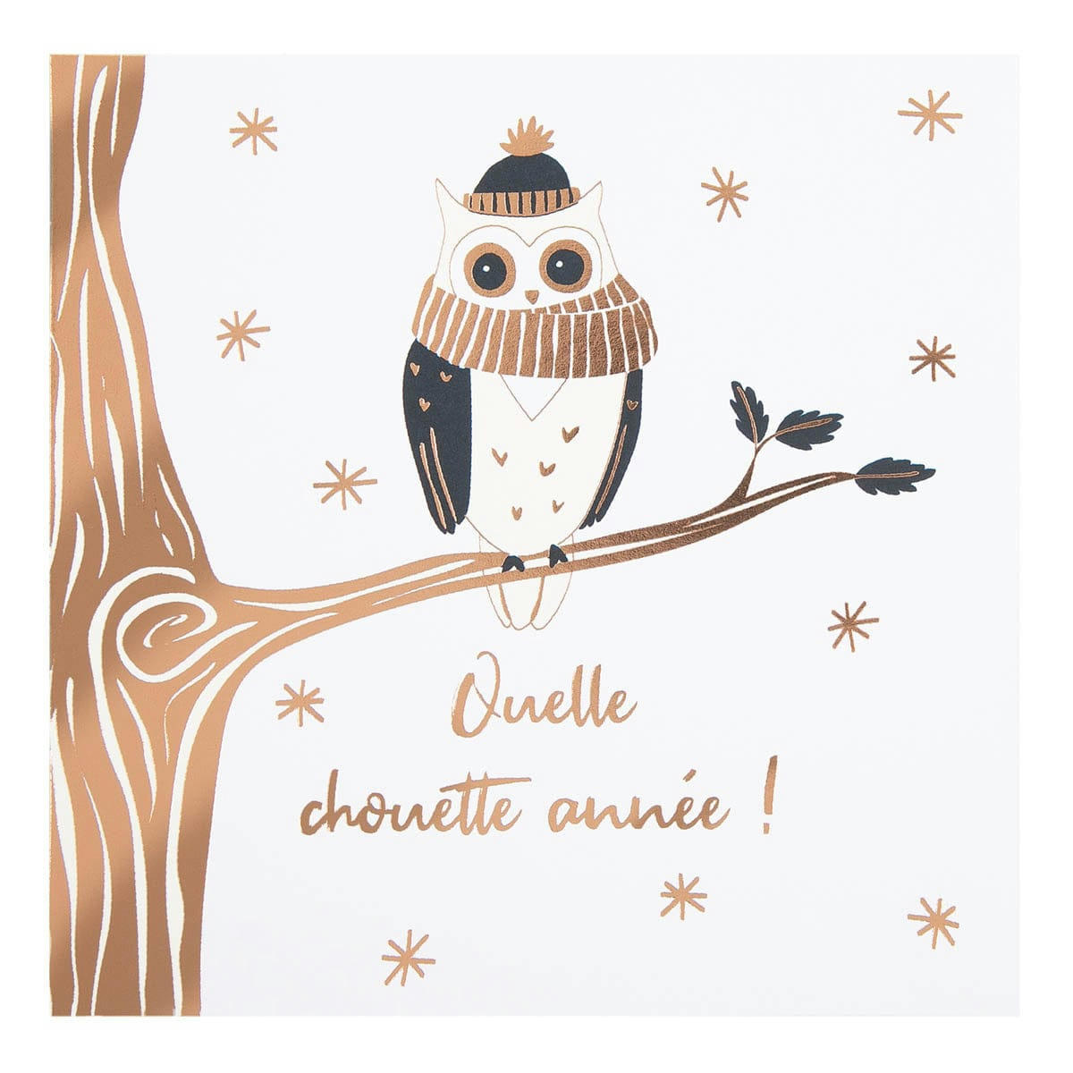 - Carte De Vœux Etincelle Chouette