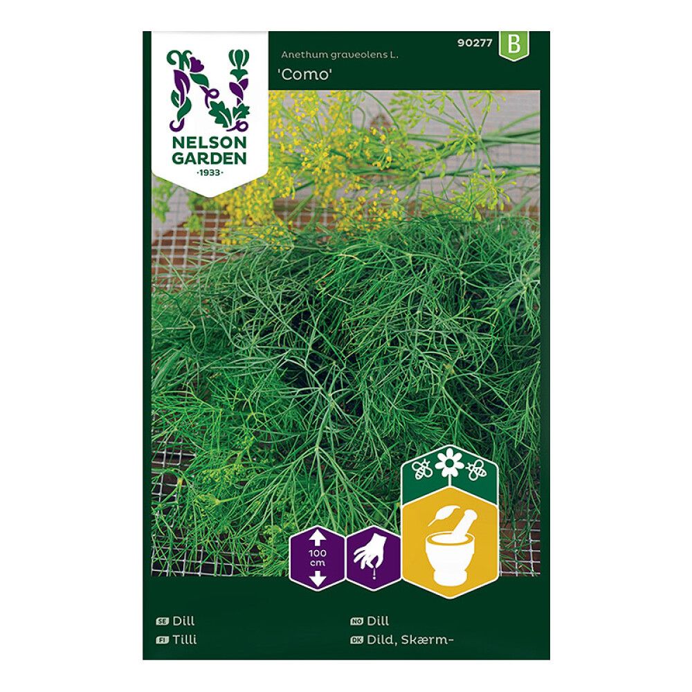KRYDDERURTER NELSON GARDEN DILL COMO
