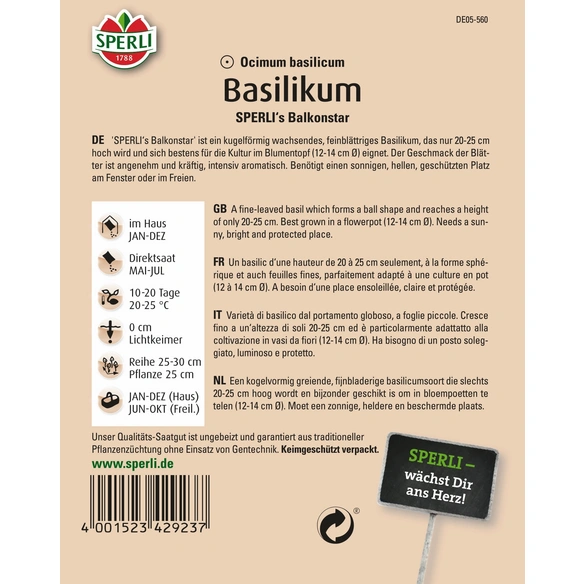 Basilikum »SPERLI's Balkonstar«, einjährig, feinblättrige Sorte, buschiger Wuchs