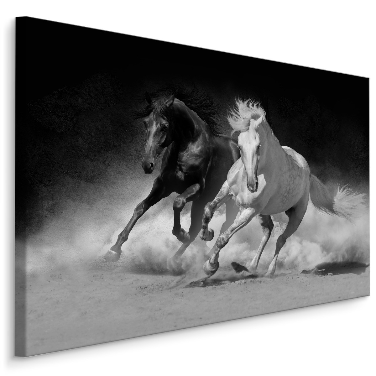 Obraz Czarno-Biały Konie w Galopie 3D 30x20cm