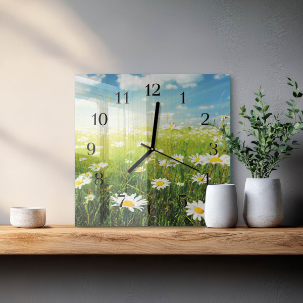 Zegar łąka 30x30 Stokrotki białe kwiaty natura ogród foto ścienny
