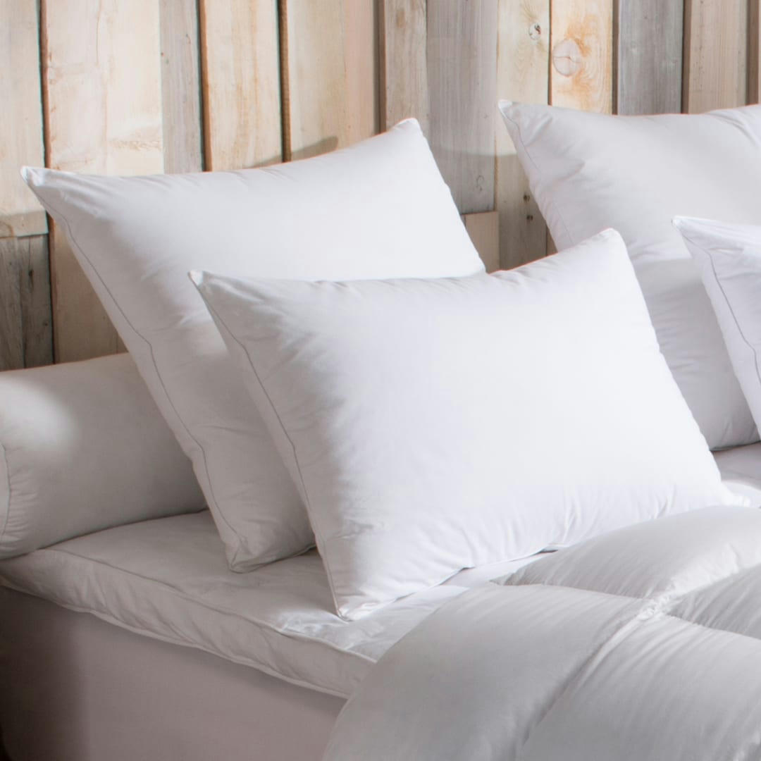 - Oreiller 90% Duvet d'Oie MEDIUM 65x65 cm - DODO