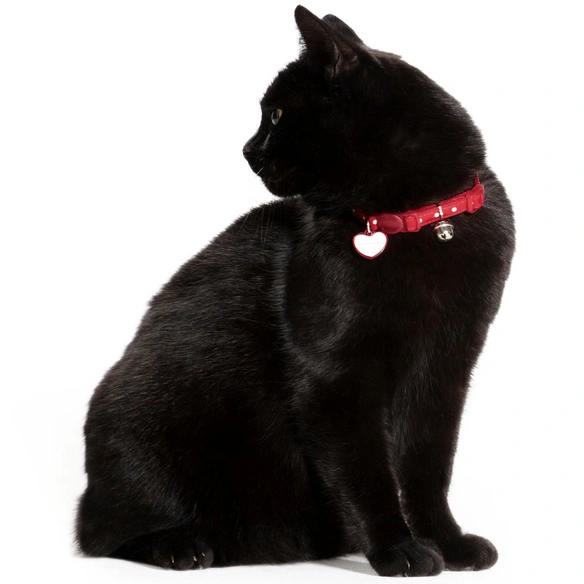 Halsband »Glossy Dots«, für Katzen, Polyester, rot