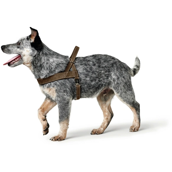 Hunde-Geschirr »Hunting«, L/1, rindsleder/leder, braun