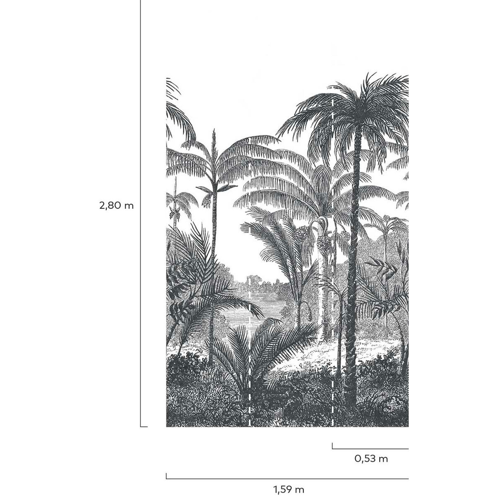 - Papier peint jungle cocotier noir et blanc 159x280 cmcm