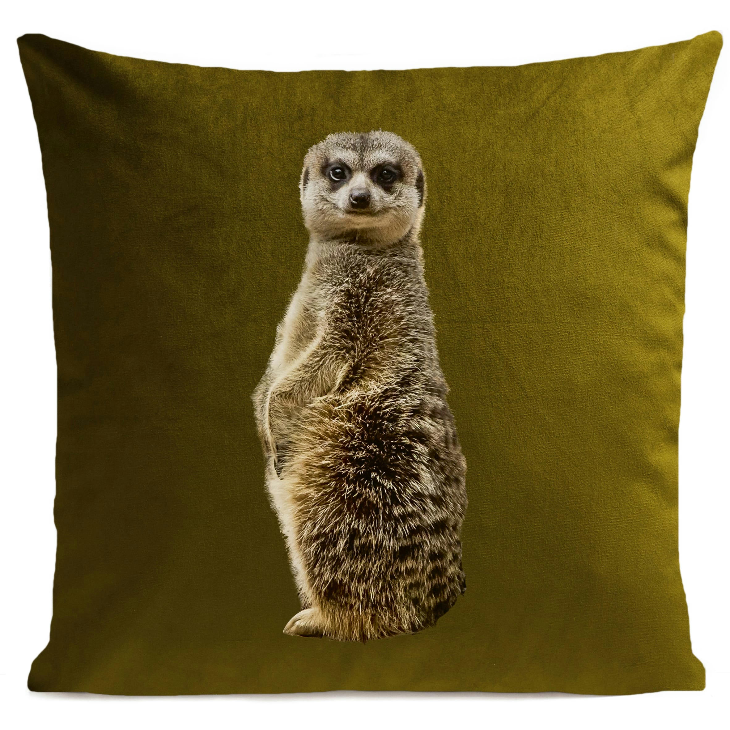 - Coussin jungle suricate suédine vert 40x40cm