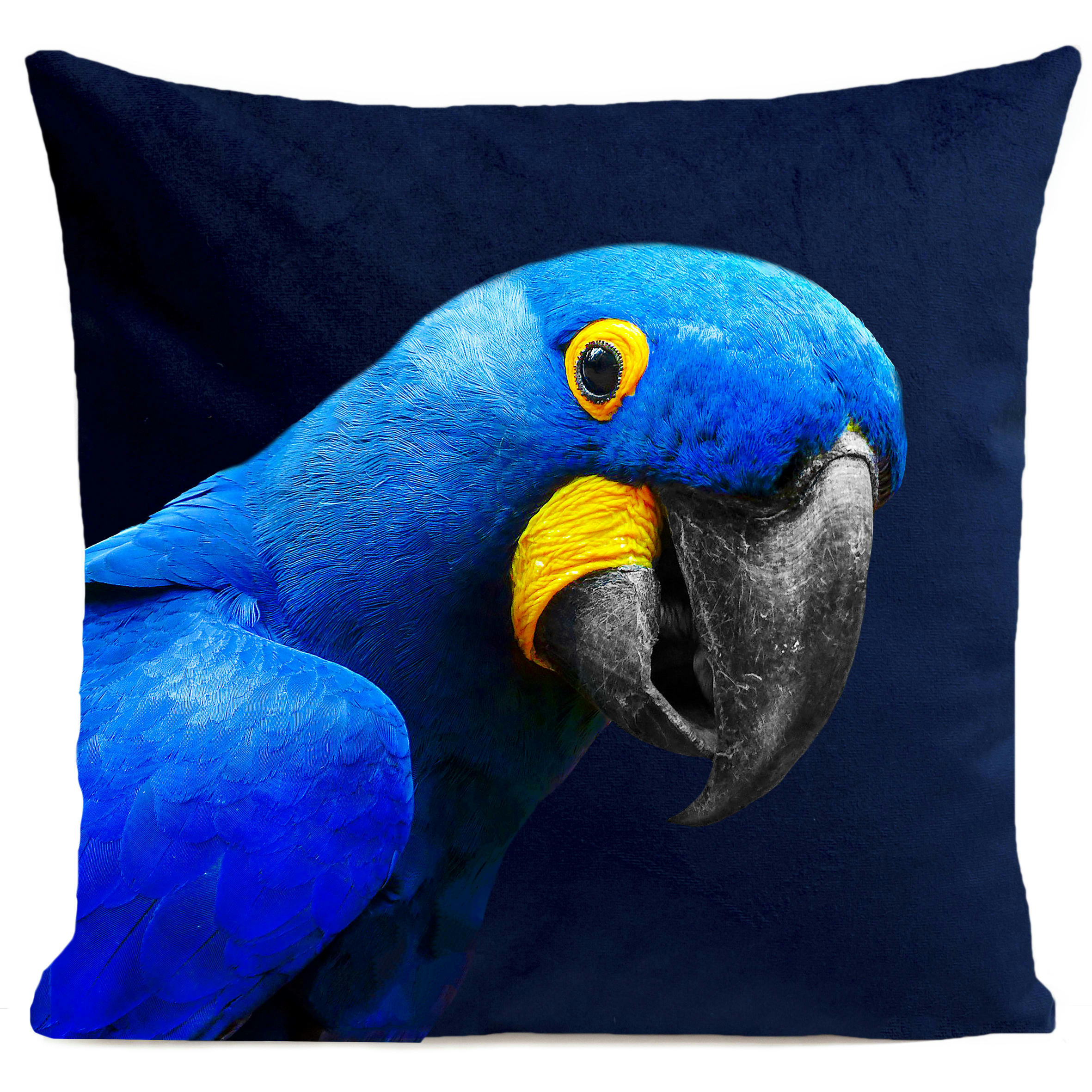- Coussin tropical perroquet suédine bleu 40x40cm