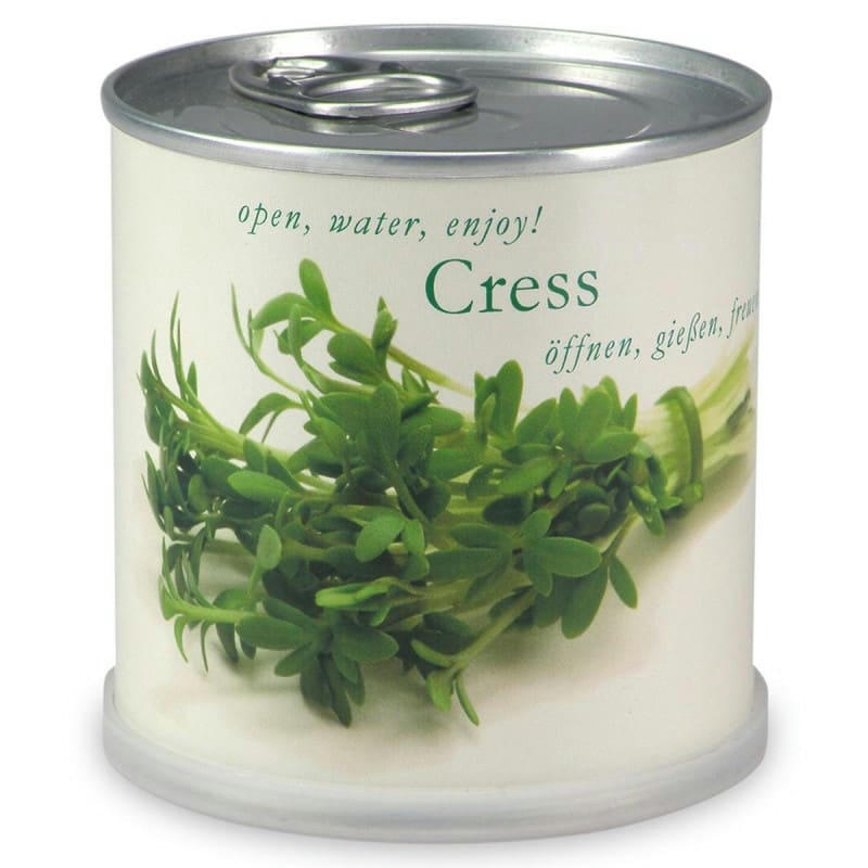 - Cresson à faire pousser en boite