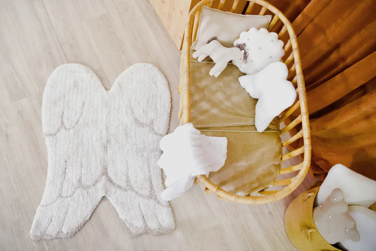 Kinderteppich Wings