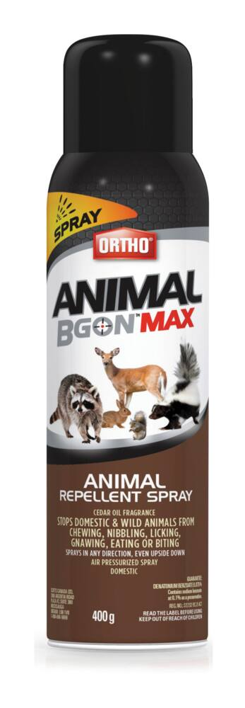 Ortho® Animal B Gon™ MAX Outdoor Ready-to-Use Animal Repellent Spray, 400-g