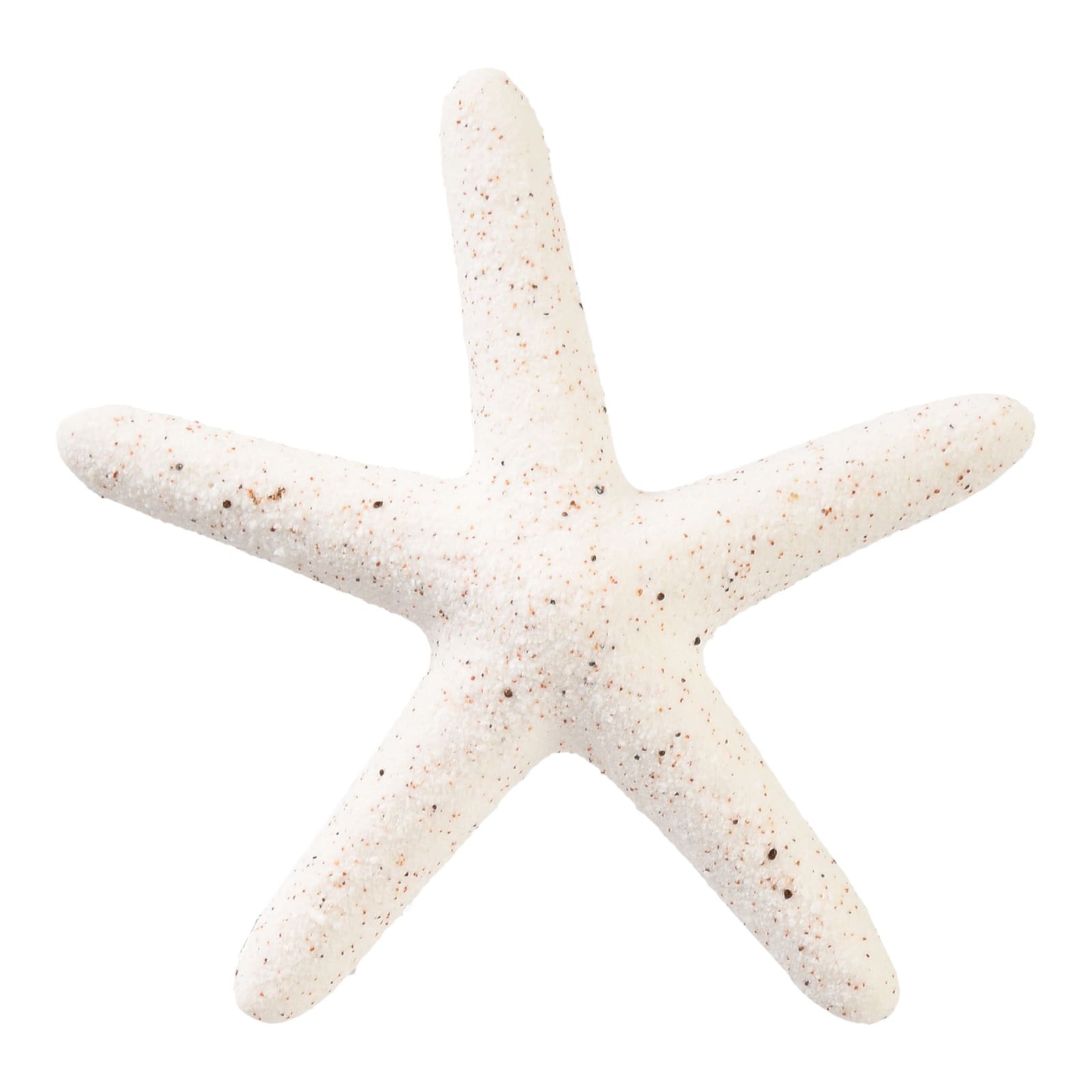 Deko-Objekt Seestern Creme, ⌀ 8.5 cm, H 15 mm