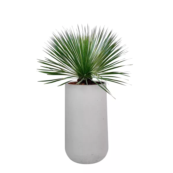 Donica Betonowa Zewnętrzna Zadora BOWL H 50x90 cm szary naturalny