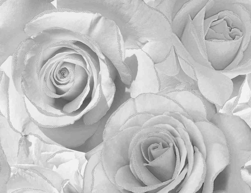 Papiertapeten Rosen grau